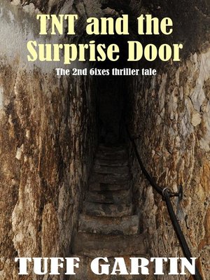 cover image of TNT and the Surprise Door